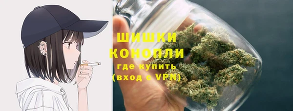 трава Арсеньев