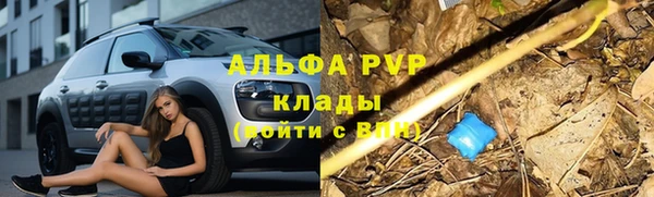 трава Арсеньев