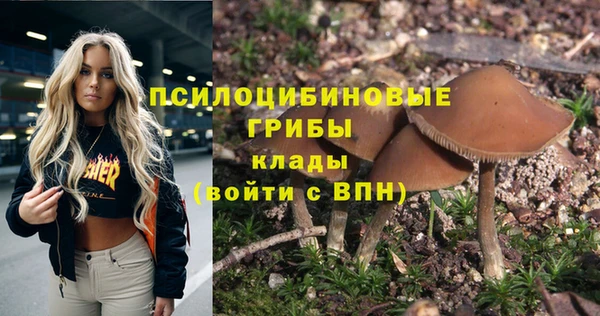трава Арсеньев