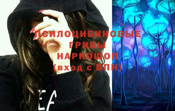 трава Арсеньев