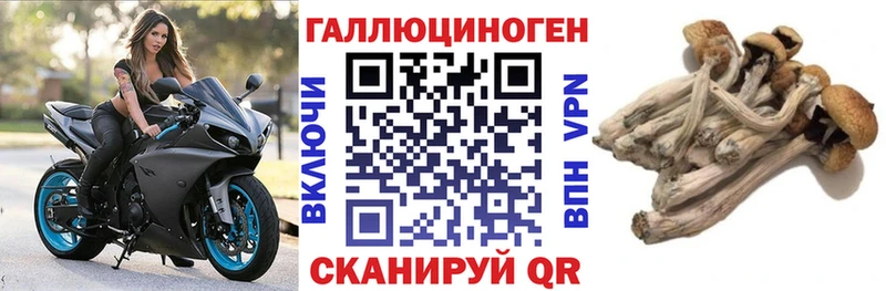 Галлюциногенные грибы Psilocybe ссылка на мегу сайт Чебаркуль